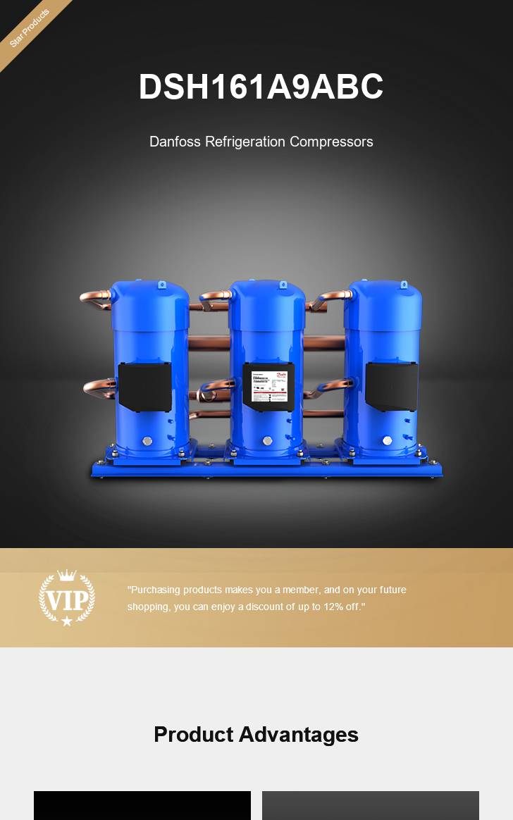 Danfoss Compressor DSH161A9ABC, technical parameters pdf, structure diagram